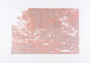 Japanese Trees