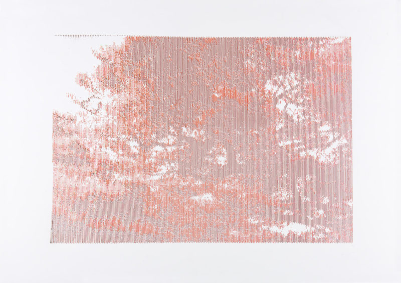 Japanese Trees