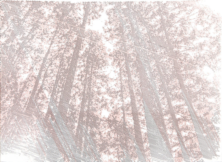 Amongst Trees