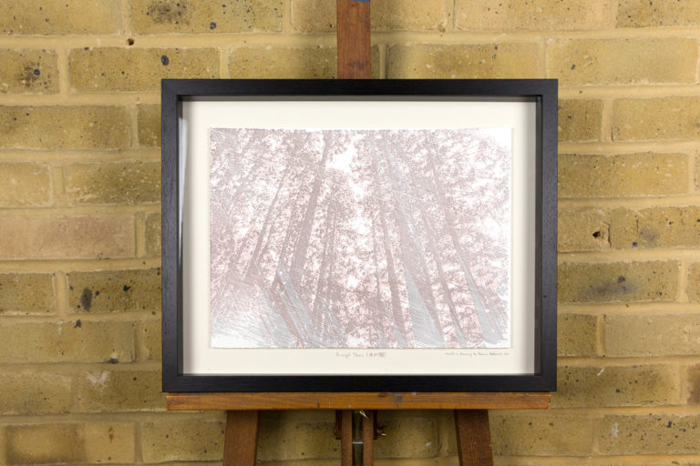 Amongst Trees - Image 2