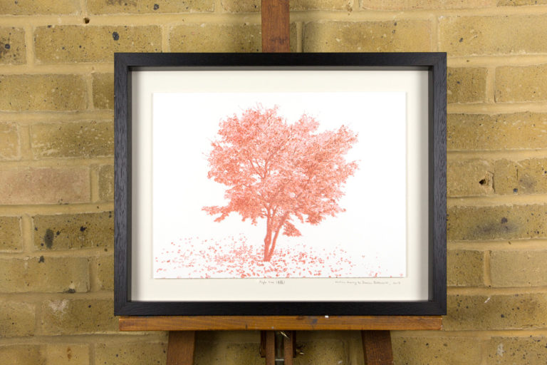 Maple Tree - Image 2