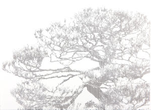Pine Tree