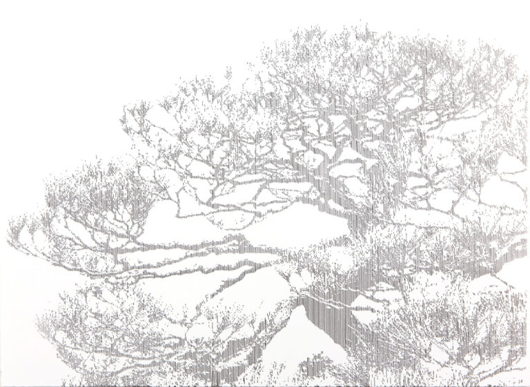 Pine Tree