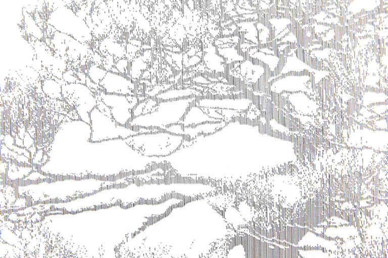 Pine Tree - Image 3