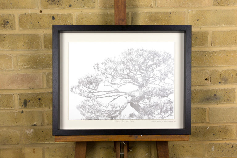 Pine Tree - Image 2