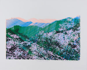 Cherry Blossom and Mountains