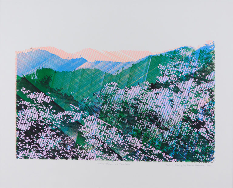 Cherry Blossom and Mountains